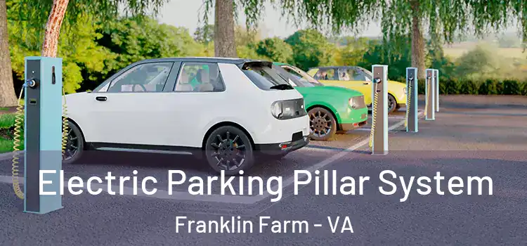  Electric Parking Pillar System Franklin Farm - VA