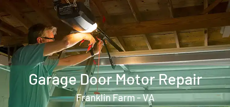  Garage Door Motor Repair Franklin Farm - VA