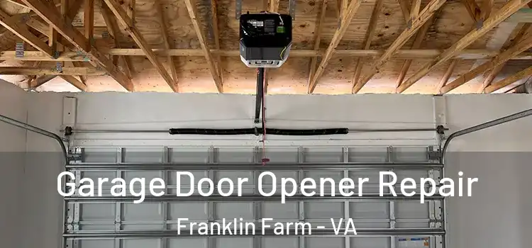  Garage Door Opener Repair Franklin Farm - VA