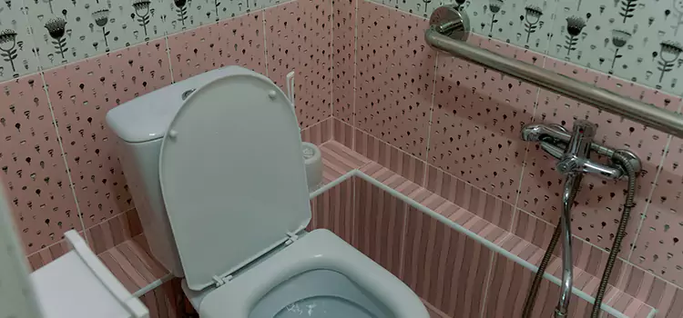 Meeting Diverse Needs With Accessible Restroom Solutions in Franklin Farm, VA
