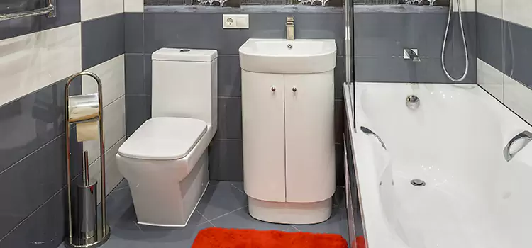 Hansgrohe Shaving Mirror Franklin Farm