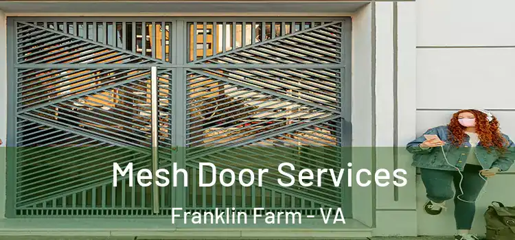 Mesh Door Services Franklin Farm - VA