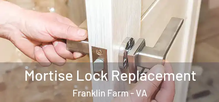  Mortise Lock Replacement Franklin Farm - VA