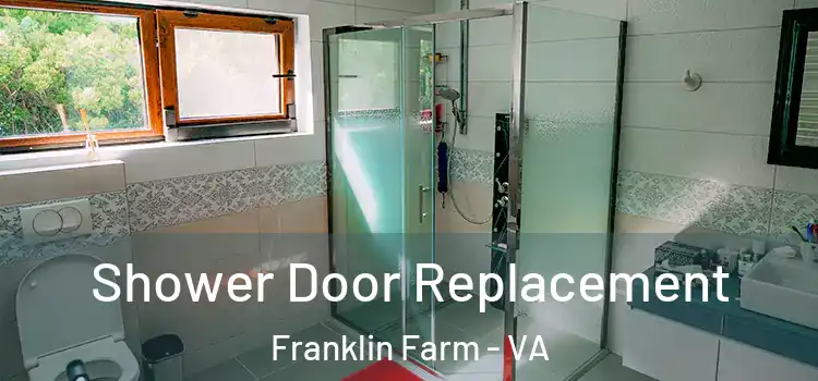  Shower Door Replacement Franklin Farm - VA